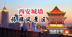 大骚屁眼子毛片儿视频在线播放中国陕西-西安城墙旅游风景区