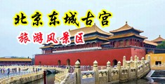 看苏联美女操屄片中国北京-东城古宫旅游风景区